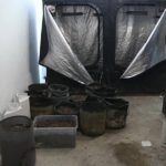 Засорил канализацию коноплей.  В Екатеринбурге полиция изъяла 16 кг растительного наркотика