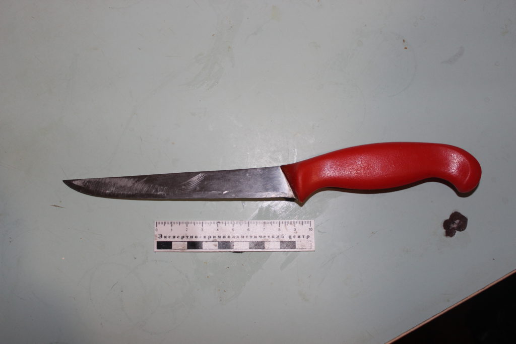 Жительницу Горноуральского осудят за нападение с ножом на сожителя