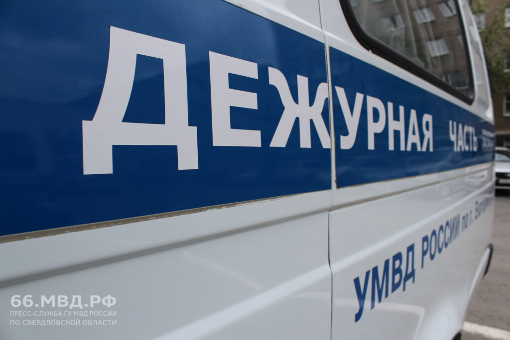 Свердловская полиция рассказала подробности о гибели ребёнка в Артемовском районе